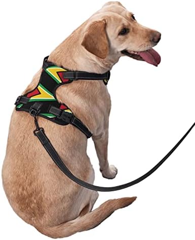 Куче Темперамент Гвајана Знаме Јамајка Карирани Миленичиња Прилагодливи Надворешен Елек Прицврстува Големи