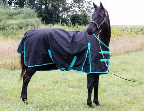 Технолошки коњи 1200 Денир коњ со коњи за дожд со коњи за дишење на дожд
