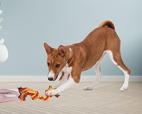 Луди Опашки Играчки Со Јаже За Џвакање Кучиња-Комплет од 6 Јажиња - За Големи, Мали Миленичиња За Заби - Сите Раси На Кученца Агресивни Џвакачи-