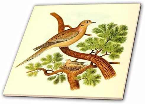 3дроза Гроздобер Птица Уметност Жалост Гулаб-Желка Дизајн Илустрација Печатење-Плочки