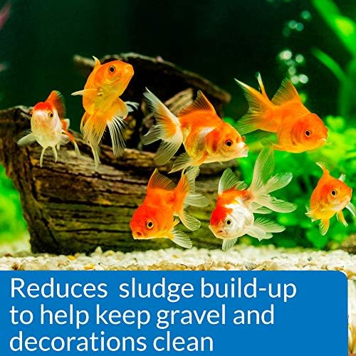 АПИ златна рипка Заштитете го климатизерот за вода во аквариум 4-унца