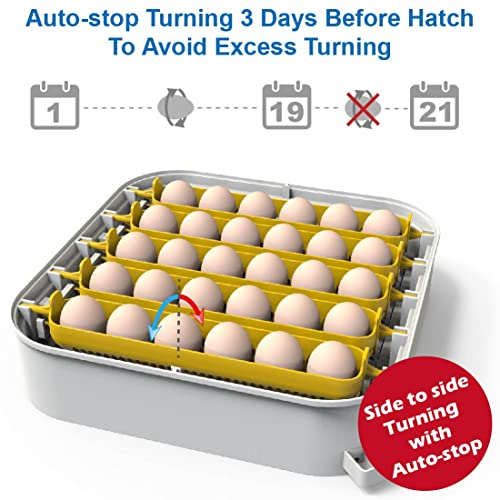 Maticoopx 30 инкубатор на јајца со приказ на влажност, канџи за јајца, автоматски јајце Тарнер, за кокошки за шрафирање