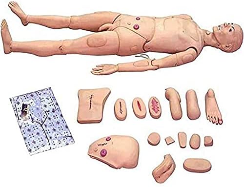 Takesh 5,7ft животна големина на пациентот маникин со заменливи гениталии и модули за кревети за обука на CPR симулатор вештини за медицинска