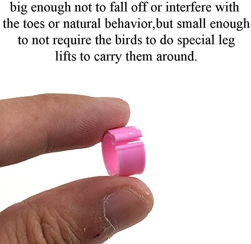 Јадаланд Прстени За Птичји Нозе со Дијаметар од 8 мм Разликуваат Веднаш Се Вклопуваат Удобно Нанесете Лесно Флексибилна Пластична