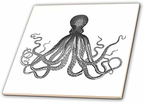 3DROSE CT_112921_2 Гроздобер октопод црно-бел лорд Боднер Кракен Ктулуу Наутички подводен морски гигант керамички плочки, 6-инчен