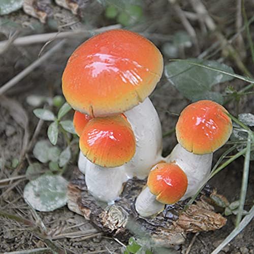 Мали украси за печурки микро украси занаети со смола DIY мали украси мали стакло Божиќни топки