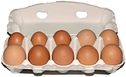 Зеродеко 10 Домаќинство 10 Решетки Практични Кутии За Складирање Јајца Организатори На Јајца Држачи За Јајца Кутии За Јајца За Фарма Кујна