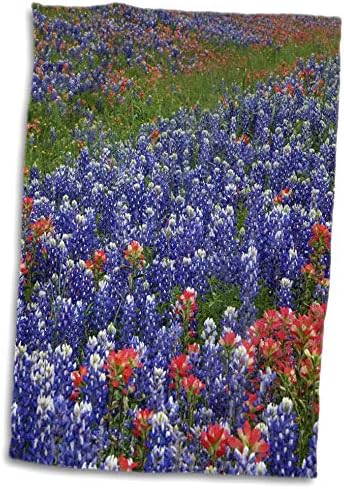 3дроза-Данита Делимонт-Цвеќиња-Тексас Хил Кантри Диви Цвеќиња. Блубонети И Индиски Четки За Бојадисување-Крпи