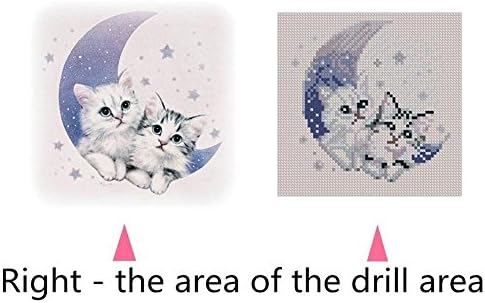 Дијамантски комплети за сликање за возрасни 5D DIY тркалезна вежба Дијамант по комплети за броеви - легура на слатки мачки на месечината