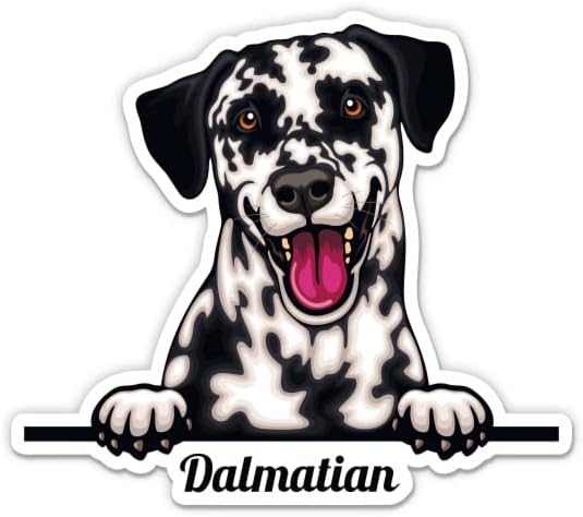 Налепници за кучиња Далматијан - 2 пакувања од 3 налепници - водоотпорен винил за автомобил, телефон, шише со вода, лаптоп - далматични декорации