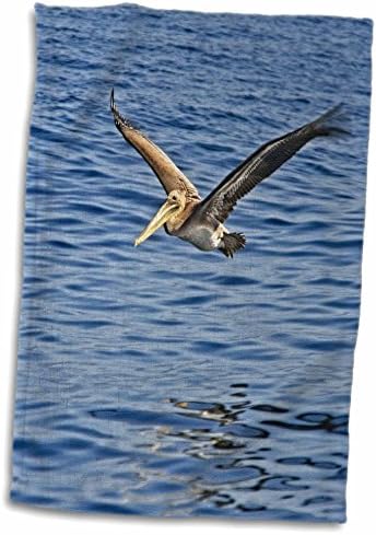 Птица за фотографија од 3drose Boehm - кафеав пеликан од брегот на Калифорнија - крпи