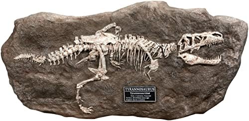 Чуда на дивата серија Т-рекс фосилна реплика
