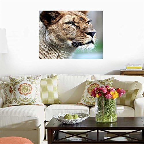 Nunubee 1pc HD природа животни масло сликарство на платно отпечатоци wallидна уметност декор позадина леопард