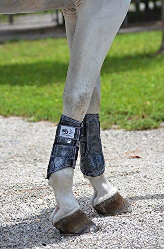 Спортски чизми за фустани сите спортски коњски подигања
