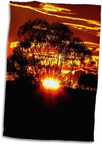 3DROSE Sven Herkenrath Sunset - Модерно зајдисонце со цвеќиња - крпи