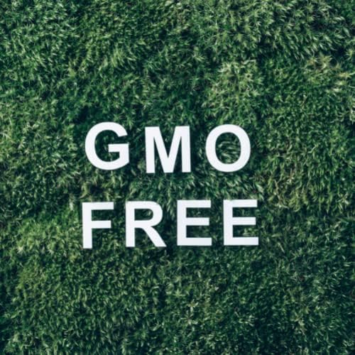 Мистични моменти | Lavage лисја есенцијално масло 5 ml - чисто и природно масло за дифузери, ароматерапија и масажа мешавини вегански ГМО бесплатно