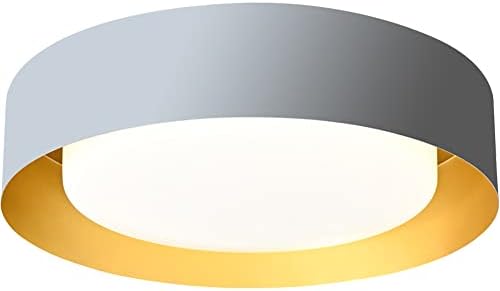 Woknos Grey LED светлосни тела тавани, надземни црвенило монтирање на таванот светло за внатрешни работи 12,4 инчи 24W, близу