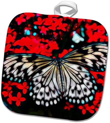 3drose убава пеперутка на црвени цвеќиња Слика на светло нанесено сликарство - постери