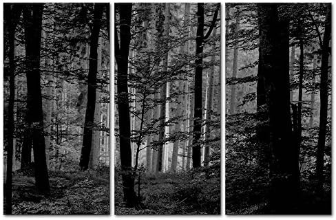 Толку луда уметност- црно-бел wallиден декор за уметност бујна дрвена шума платно слики уметнички дела 3 панел природа пејзаж за сликање отпечатоци