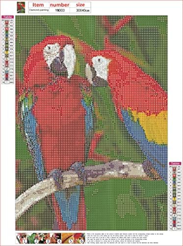 Дијамантски комплети за сликање, неколку птици од папагал macaws во природата егзотично тропско диво животно пролетно летно боење со броеви