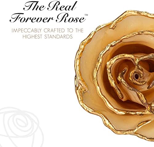 Засекогаш Роуз 24k Злато Натопи Дијамант Роуз, Април Раѓање Камен, Уникатен &засилувач; Вечен Вистински Бела Роза Рака Натопи ВО 24k Злато,