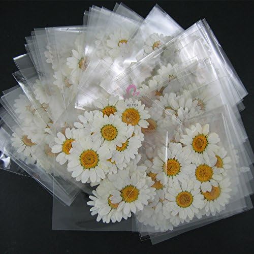 Притиснато цвеќе бои Chrysanthemum paludosum 100packs 600 парчиња сушени цвеќиња)