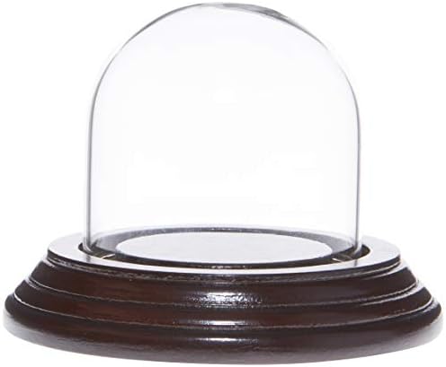Plymor 2 x 2 Мини стаклена дисплеј купола клоче