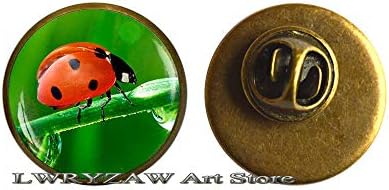 Брух на Лејди Буг, пин за бубачки, накит од инсекти, дама бубачки уметнички подарок, уметнички инсекти, брош за инсекти, М88