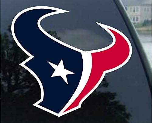 NFL Хјустон Тексанс Совршена декларативна боја на боја, 8 x 8