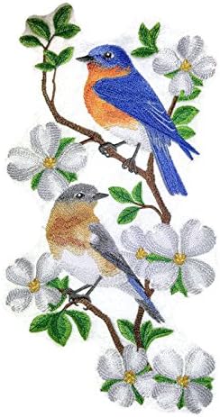 Природата ткаеше во навои, Неверојатни птици Кралство [Источна табла со сини плочи] [обичај и уникатно] везено железо на/шива лепенка [11,72