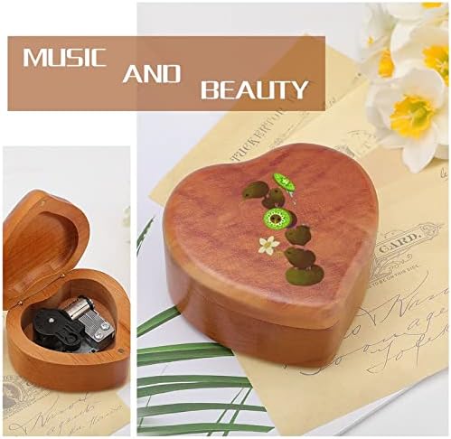 Симпатична Kiwi Bird Vintage Worden Clockwork Musical Box Music Box Music Box Подароци за семејни пријатели на lубовници
