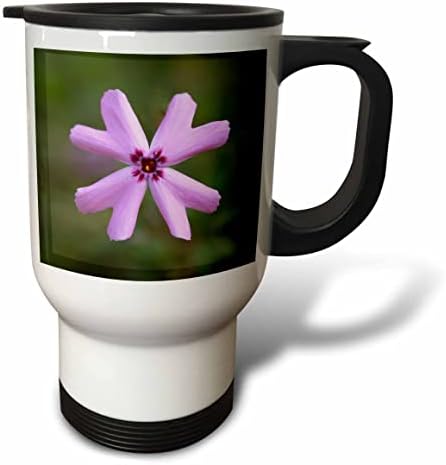3дроза Макро фотографија на виолетова притаен флокс цвет во цут. - Чаши За Патување