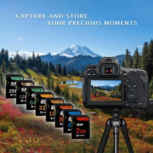 Synergy Digital 64GB, Sdxc Мемориска Картичка На Камерата, Компатибилна Со Kodak Pixpro Fz45 Дигитална Камера-Класа 10, U1, UHS-I, 100mb/s,