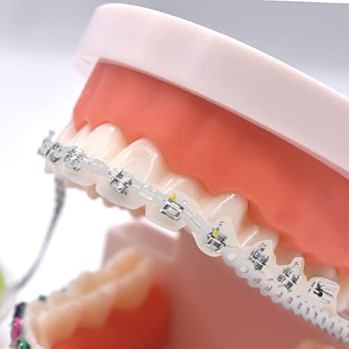 RZJZGZ чисти стоматолошки ортодонтски еластични ланци на еластичен ланец заграда Ортодонтска количка Еластична гумена лента