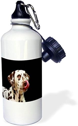 3drose Слика на далматинскиот портрет со симпатичен јазик валано шише со вода, 21 унци