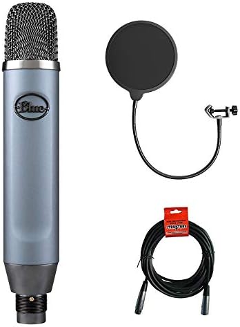 Сина ембер мала дијафрагма студио кондензатор микрофон со келопи поп филтер & XLR-XLR пакет на кабел