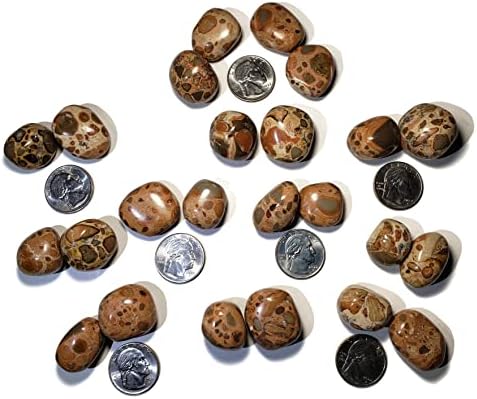 2 парчиња поставени леопардит asаспер 22-26мм и 25-30мм средно-голем неверојатни неверојатни врвни и полирани природни лековити камења од Перу