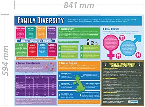 Денот на образованието за образование Семејно разновидност | Постери за социологија | Ламинирана хартија за сјај со мерење 33