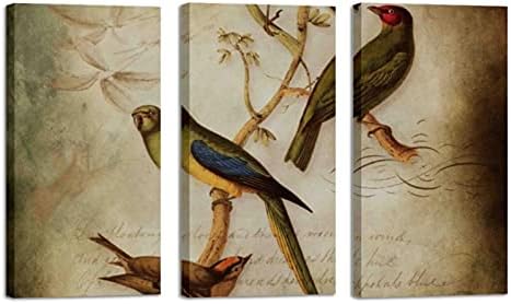Wallидна уметност за дневна соба, маслено сликарство на платно големи врамени птици е на гроздобер хартија за сликање уметнички дела