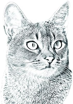 Уметност Куче Оод. Абисински, Овален Надгробен Споменик Од Керамичка Плочка со Слика на мачка
