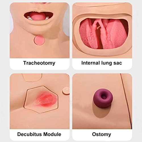 Мултифункционален симулатор за нега на пациенти, човечки анатомски модел, ПВЦ траума за прва помош, медицинска сестра Маникин за обука на настава