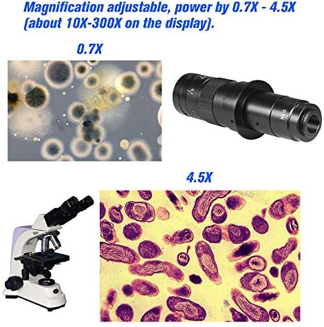 Festight 10x до 300x зголемување на ендоскоп Дигитален микроскоп зумирање на окулации Индустриски леќи Индустриски микроскоп камера