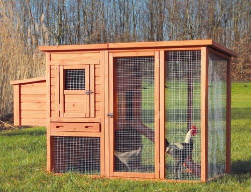 Trixie Pet Products Chicken Coop со на отворено, 66,75 x 30,25 x 41,25 инчи