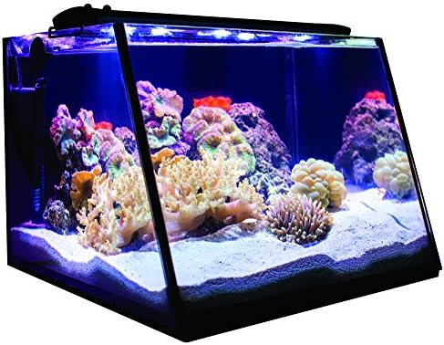 Lifegard Aquatics Целосен Преглед 5 Галон Аквариум R800204 СО LED Светло Грејач Термометар, нето &засилувач; Вграден Назад Филтер Со Пумпа