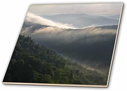 3дроуз Фотографија Од Северна Каролина Во Планините Блу Риџ-Плочки