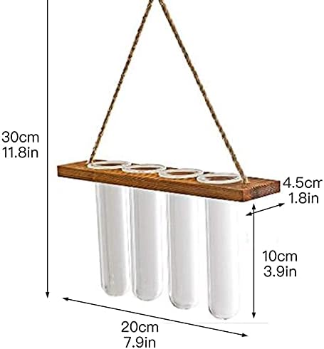 Wallид што виси пластери Терариум со дрвен штанд, мини тест цевка цвет вазни ретро висино стакло засадувач за хидропонични растенија сечење на декор за дома, 4 цевки з