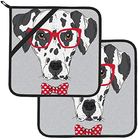 Очила кучиња популарни стилови на кујнски тенџере држачи за тенџере со топлина поставени 2 парчиња топли влошки 8 × 8 инчи за готвење