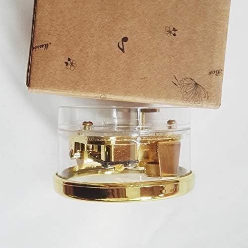 Fnly 18 белешки креативна ветерна акрилна пластика Транспарентна музичка кутија со движење со злато во, разни форми музичка кутија,