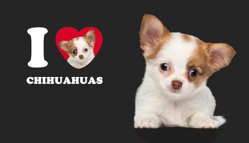 Поздрав без дрво I Heart Chihuahuas Artful Traveler Double Wall Cool Cup со еднократно слама, 16-унца, тен и бело