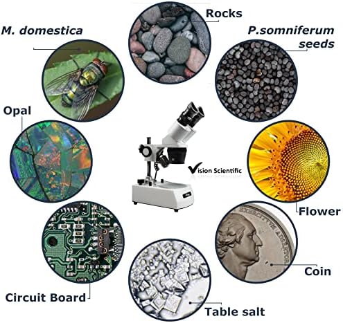 Визија Научни VMS0002-LD - 234 Бинокуларен Стерео Микроскоп, 10x Широк Окулар, 2x, 3x и 4x Цел, 20x, 30x и 40x Зголемување, Врвот И Дното LED Осветлување,